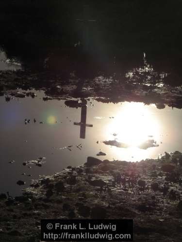 Booterstown Nature Reserve
